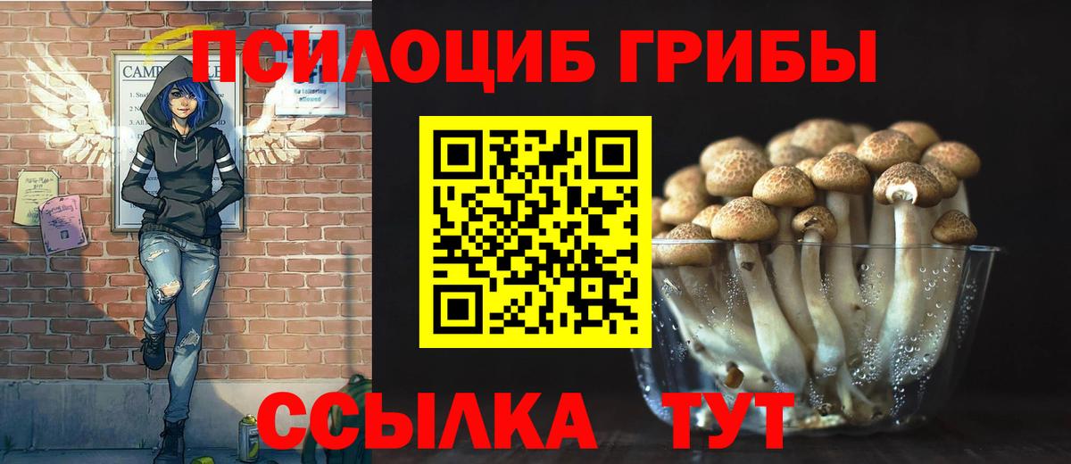 Псилоцибиновые грибы прущие грибы  Псилоцибиновые грибы Psilocybine cubensis  Алейск  Вход с VPN 