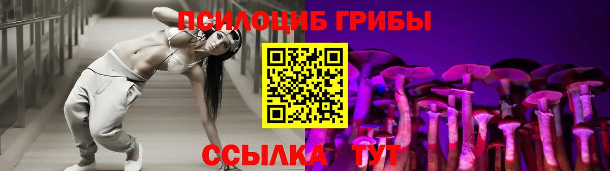 Псилоцибиновые грибы Psilocybine cubensis Алейск